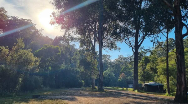 Seninis Track Campground, Free 4WD Bush Camping in Moondarra State Park