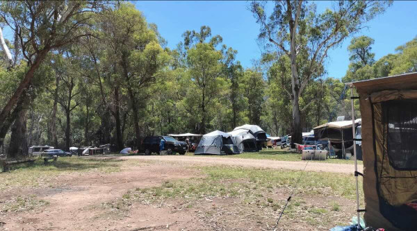 Sheepyard Flat Campsite, Howqua Hills