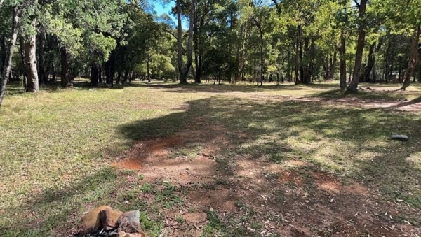 Shippens Flat Free Campground, Buckland VIC