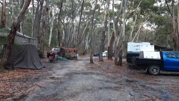 Slaty Creek Picnic Ground No 3: Complete Guide to Free Camping on Wrights Gully Road, Creswick