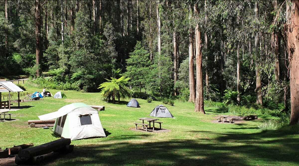 Starlings Gap Campground, Historic 4WD Free Camping in the Yarra Ranges