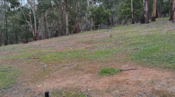 Surface Point Picnic Area Free Camp Guide, Enfield VIC