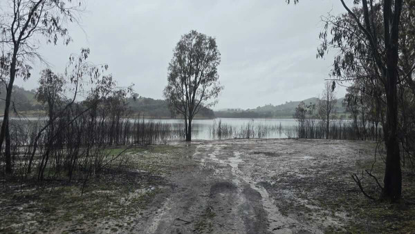 Taylors Camping Ground 1, Lake Eildon VIC