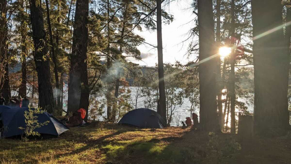 The Groovy Pines, Lake Eildon VIC