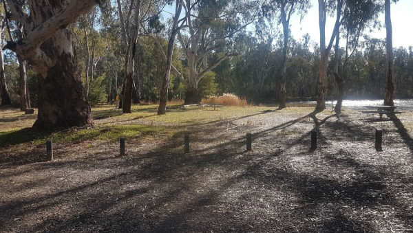 The Gulf Camping Area, Free Goulburn River Bush Camp Near Barmah Forest