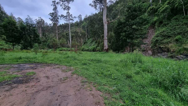 Traralgon Campsite 1 – Convenient Free Camping in Gippsland