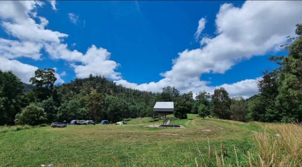 Traralgon Creek CR1 – Free, Pet-Friendly Camping in the Strzelecki Ranges