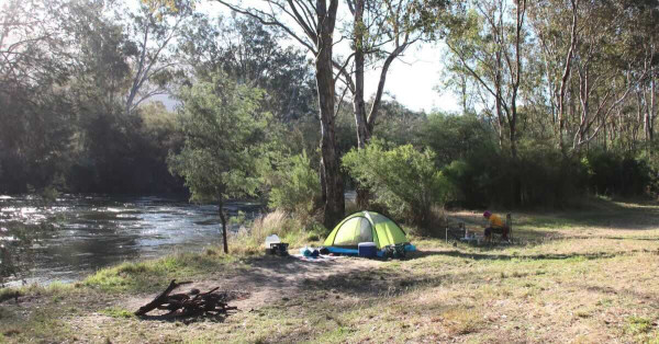 Treefrog Camping Ground (Site 6), Wellington River