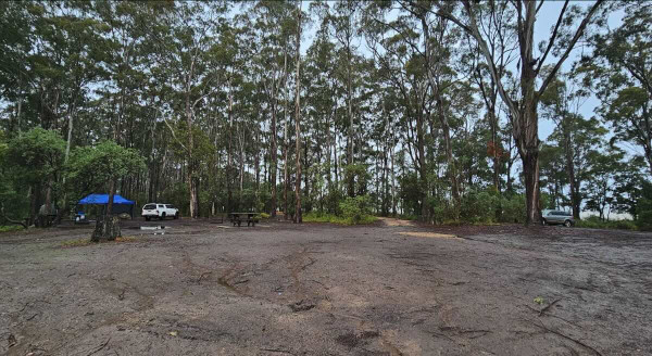 Trident Arm Campground – Free Camping on Lake Tyers