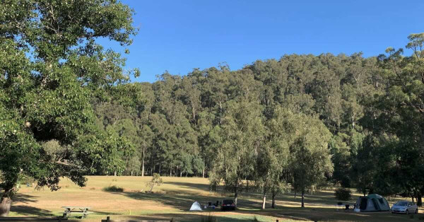 Upper Yarra Reservoir Park Camping Ground, Reefton VIC