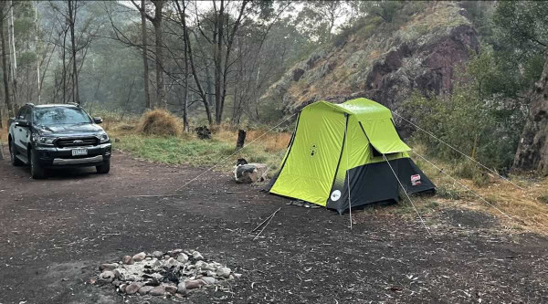 Wild Cherry Tree Campsite, near Mount Torbreck