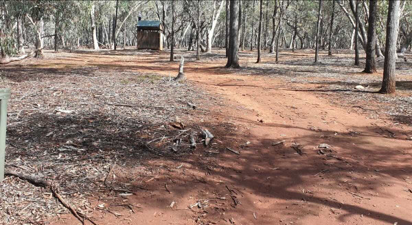 Willis Campground – Free Camping on the Snowy River, Alpine National Park