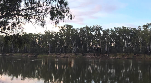 Bouchiers Beach Big Rigs Camp Free Murray River Camping VIC
