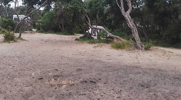 C3 Campground Gippsland Lakes Coastal Park Free Camping