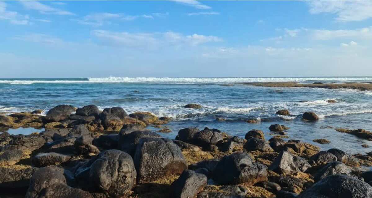 Barwon Heads Caravan Park - Coastal Escape