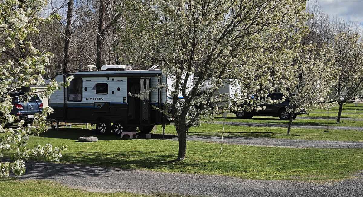 Cobram Willows Caravan Park