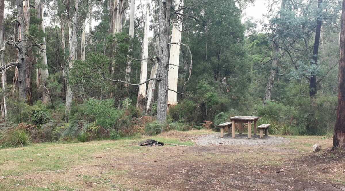 Goongerah Campground