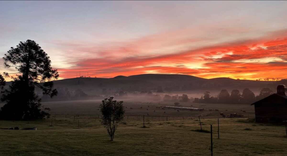 Grandview Sanctuary – Pet-Friendly, Self-Contained Camping in Buchan
