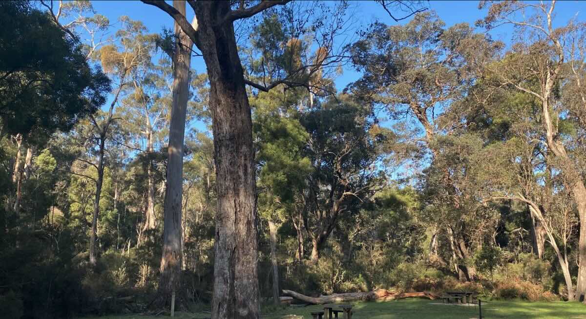 Log Crossing Picnic Area