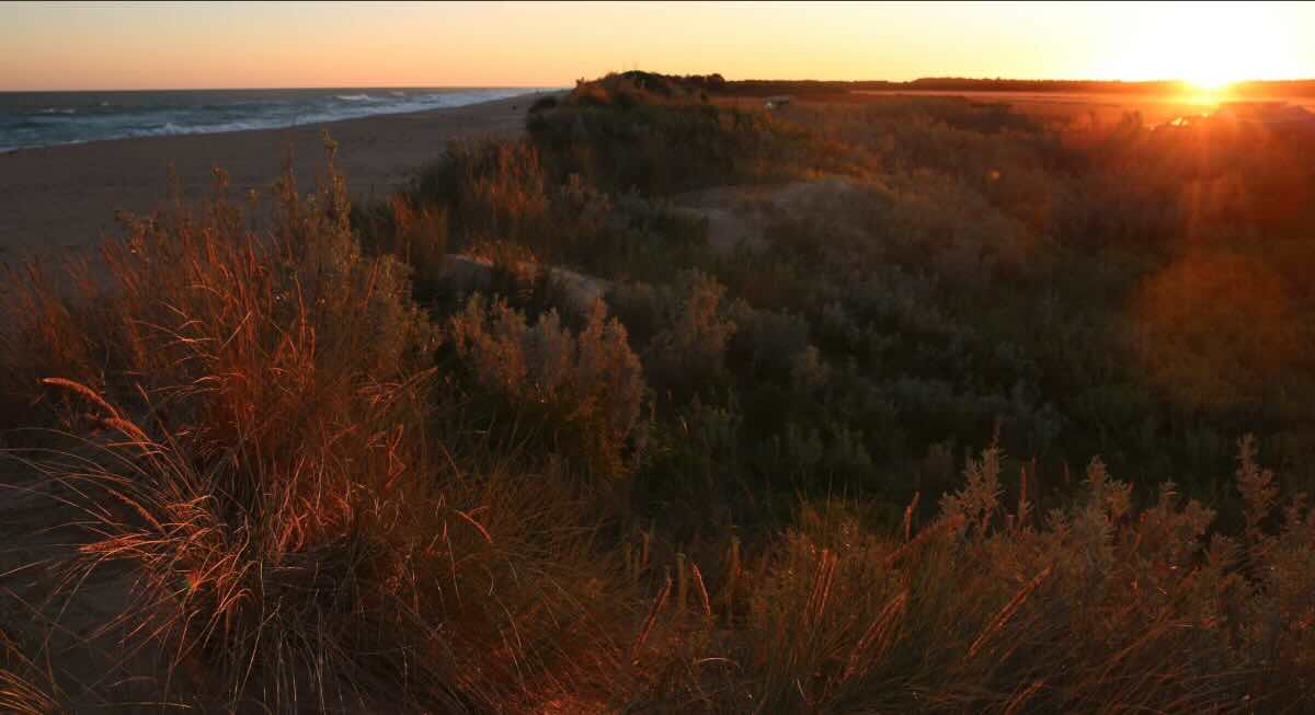 McGaurans Beach