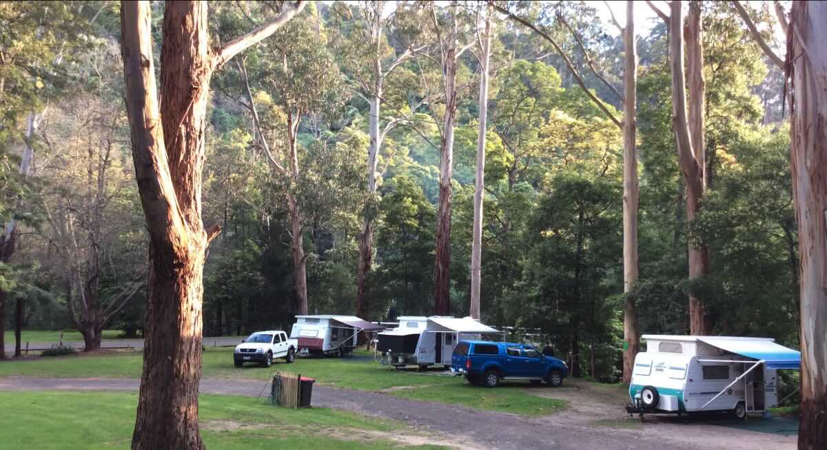 Tarra Valley Retreat