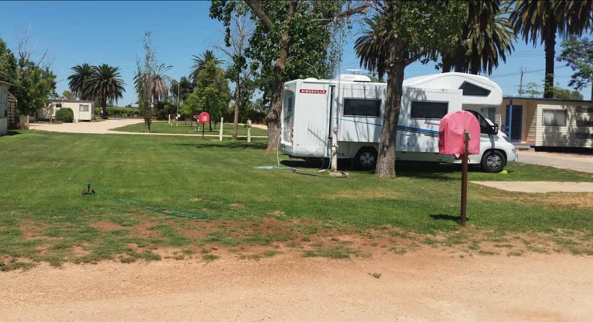 The Palms Caravan Park