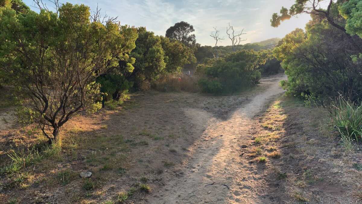 Cape Otway GOW Campsite