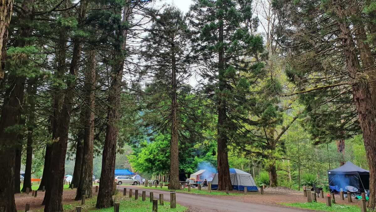 Stevensons Falls Campground